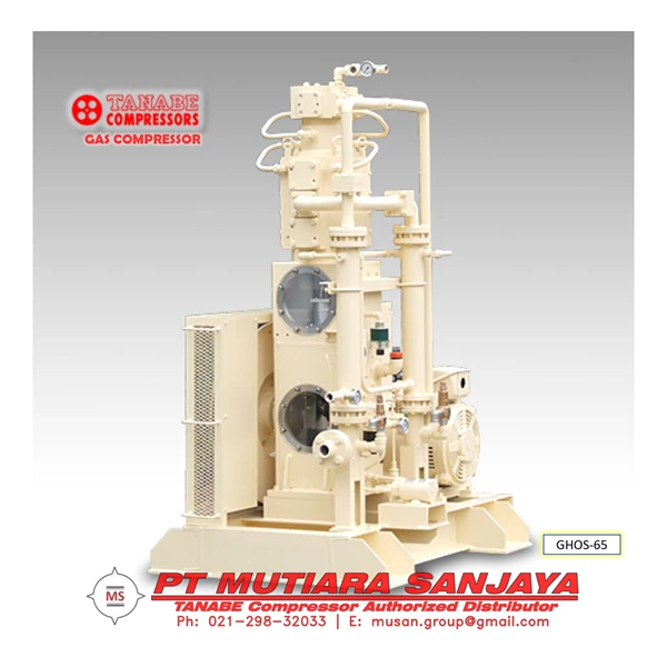 TANABE Oil Free Booster Gas Compressor  Pressure up to 196 Bar. Model: GOS GHOS TW Series